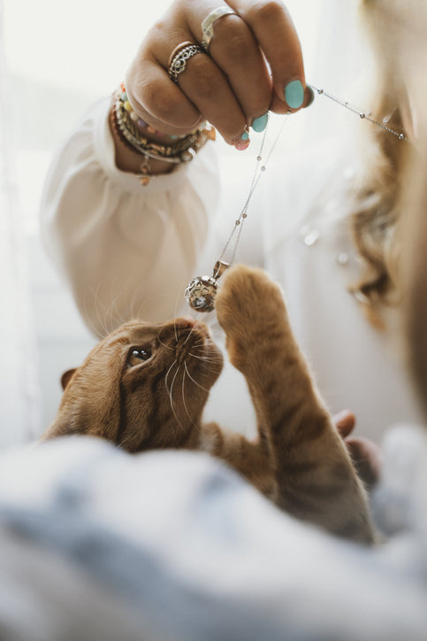 pet dog cat paw charm in silver – pet lover jewelry