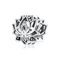 925 Silver Charm Collection 925 Sterling Silver Dazzling CZ Beads Fit Bracelets & Bangles Fine Jewelry BSC039